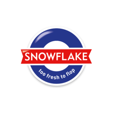 Snowflake Logo
